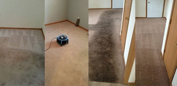 carpet-cleaning-5